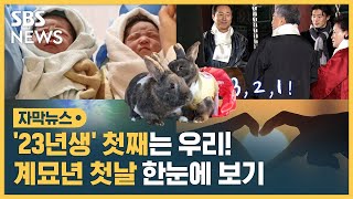 '검은 토끼의 해'를 맞이하는 대한민국 모습 한눈에 보기 (자막뉴스) / SBS