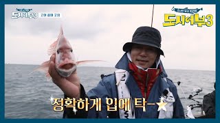 킹태곤, 짐이 해냈도다! 역시 참돔은 이태곤? 드디어 4짜 참돔 등장◑◇◐! | 나만 믿고 따라와 도시어부 3 26 회