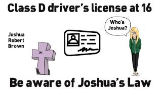 Georgia Driver Education