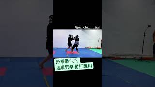 形意拳 連環劈拳 XinYiQuan PiQuan sparring