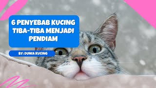 6 Penyebab Kucing Tiba tiba Menjadi Pendiam | dunia kucing