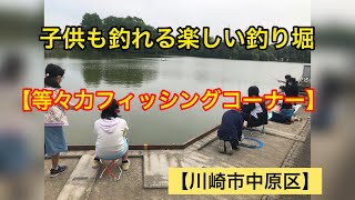 【釣り堀】等々力‼️フィッシングコーナー❗️子供も楽しく釣れて‼️^ ^川崎フロンターレスタジアムの横で・・。【No.14】