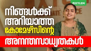 നിങ്ങൾക്ക് അറിയാത്ത കോമേഴ്സിന്റെ അനന്തസാധ്യതകൾ.. | Xylem Plus Two Commerce