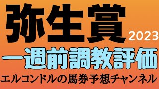 エルコンドルのディープインパクト記念弥生賞2023一週前調教評価！！一週前調教映像は4頭だが皐月賞に向けて重要な一戦！各馬の馬の仕上がりと状態に注目したい！