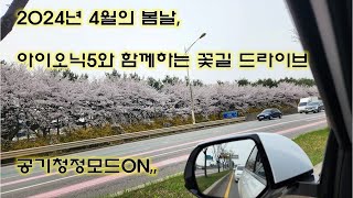 2024년 4월 아이오닉5와 함께하는 꽃길 드라이브