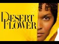 Desert flower  සිංහල උපසිරැසි සමඟින් Please note that uploading is not based on monetization