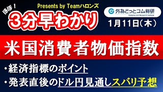 ドル/円見通しズバリ予想、３分早わかり「米国12月消費者物価指数」2024年1月11日発表