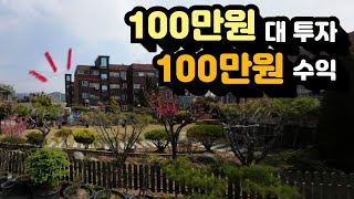 100만원대 투자 100만원 수익, 소액투자로 두배 수익방법과 실제 사례