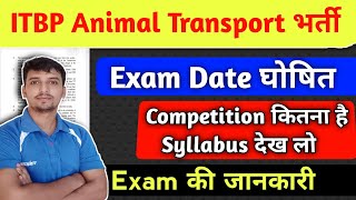 ITBP Animal Transport Exam Date 🎉 Animal Transport Syllabus 2025✅ competition कितना है ||