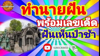 EP.29 #dream ทำนายฝัน ฝันเห็นสุสาน-ป่าช้า (พร้อมเลขเด็ด) dreaming of a cemetery | Saimu689 Channel