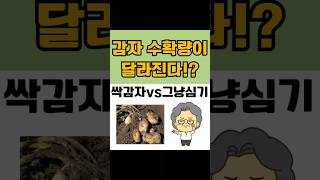 감자 수확량이 다릅니다! 감자심는시기와 방법(싹틔우기)