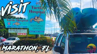 Tour a Sea Turtle Hospital | Florida Keys | kayak7seas