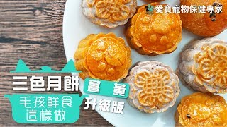 【毛孩鮮食這樣做】三色月餅薑黃升級版 │ 愛寶寵新知 AIPAWs X 毛小孩愛健康 IFURRY