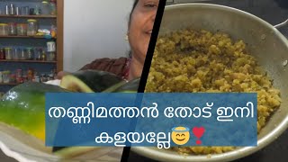 തണ്ണിമത്തൻ കഴിച്ചിട്ട് ഇനി തോട് കളയല്ലേ😄😱❤ | Cooking Vlog | MALAYALAM