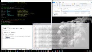 DNS Exfiltration with XPloit Framework