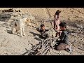 Collecting firewood by Reza Fatemeh Abbas in the mountains for the winter season