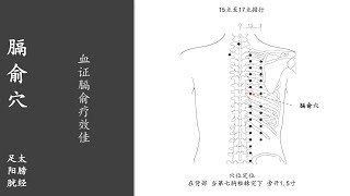 人体穴位141：膈俞：血证膈俞疗效佳，用拇指按揉膈俞穴100～200次，每天坚持，能够治疗各种血证 20211229.mp4