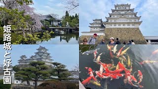 【兵庫vlog④】兵庫最終日は国宝姫路城と好古園を満喫🏯🌸