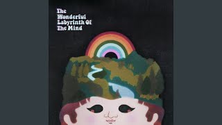 The Wonderful Labyrinth