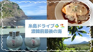 【福岡Vlog】トトロの森🌳またいちの塩🧂糸島の海🐠🏖福岡を堪能する💖후쿠오카 드라이브 🚘💕