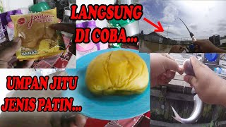 UMPAN IKAN PATIN | UMPAN JITU SEMUA JENIS PATIN SUNGAI