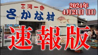 【速報版】2024年4月21日(日)の一色さかな村と一色さかな広場の風景