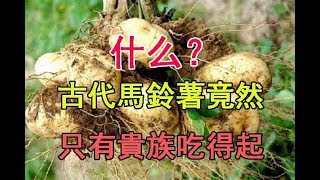 在古代【馬鈴薯】竟然只有貴族吃得起！？