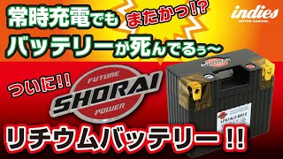 【常時充電でもダメ】ついにリチウムバッテリーだ!!