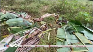 പത്തനംതിട്ട സീതത്തോട് ഗുരുനാഥൻമണ്ണിൽ കാട്ടാന ശല്യം രൂക്ഷം, ജോലിക്ക് പോലും പോകാനാകാതെ നാട്ടുകാർ