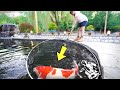 Amazing Koi Ponds in New York (Pond Tour)