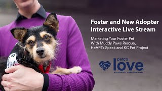 Marketing your Foster Pet - Foster Support Webinar | Petco Love