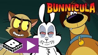 Bunnicula | Lucky Shot | Boomerang UK 🇬🇧