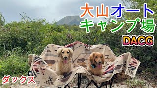 大山オートキャンプ場 中国地方の名峰大山を見ながらキャンプしたよ！ ミニチュアダックスフンド 多頭飼い ３歳／１歳【ちゃんねるナッツ】vol.230