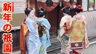 Many maiko and geisha in Kyoto Japan/January 13 2024 舞妓さんらで賑わう新年の京都祇園