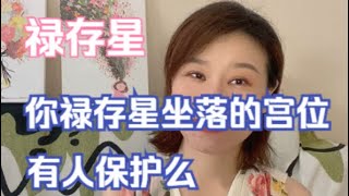 紫微斗数/禄存星/星耀搭配/12宫释义