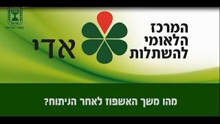 מהו משך האשפוז לאחר ניתוח תרומת כליה? | המרכז הלאומי להשתלות