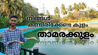 താമരക്കുളം/ Ottapalam / Palakkad Road........#travel