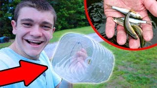 $1 HOMEMADE MINNOW TRAP! (It Actually Works!)