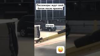 Так вот куда пропадают чемоданы из самолета