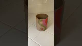 Cutest Mugs Ever tiktok kiwi diaries