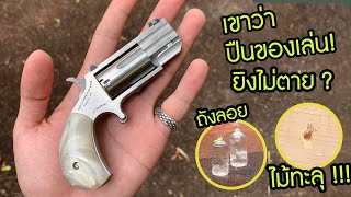 ทดสอบพลังปืนลูกโม่จิ๋ว North American Arms ( NAA.22 )