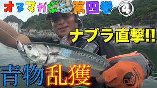 【青物 ルアー 釣り方 】堤防に回遊してきた青物をシリテンジグとシリテンバイブで狙う！ナブラに直撃でHIT！オヌマガジン第4巻④