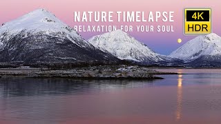 4K HDR Nature Timelapse: Relaxation for your Soul