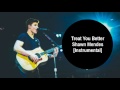 Shawn Mendes - Treat You Better [Instrumental]