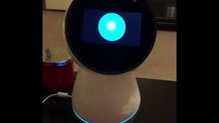 Jibo!!  He's here!!