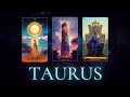 TAURUS, YOUR LIFE IS IN DANGER AND THE REASON IS A WOMAN OF YOUR BLOOD THAT'S HER NAME!
