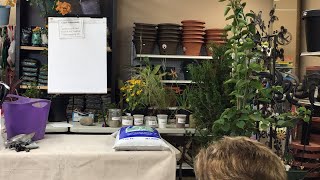 What Is Perfect Soil And What’s Wrong With Garden Centers And The Plants They Sell