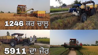 matharu 1246 ਚਲਾਤੀ // 14 ਦਾ ਝਾੜ ਬਹੁਤ ਵਧੀਆ //@bittugobindgarh2295