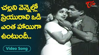 చల్లని వెన్నెల్లో ప్రియురాలి ఒడి ఎంత హాయి..| Jamuna, ANR Moonlight melody Song | Old Telugu Songs