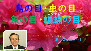 四つの目 、四つの視点で物事を見る事が大事です。「鳥の目・虫の目・魚の目・蝙蝠の目」です。この四つはそれぞれ異なる特徴を持っています。